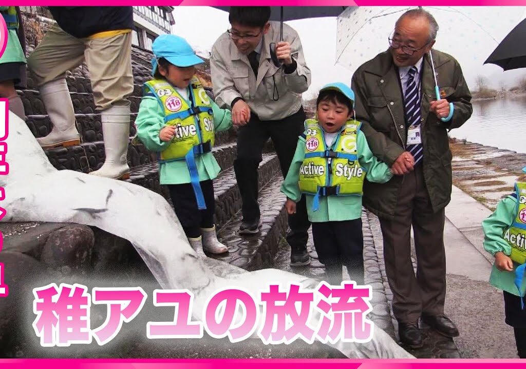 【稚アユの放流】 例年より早く　 “地球温暖化”が背景に…　岐阜・長良川