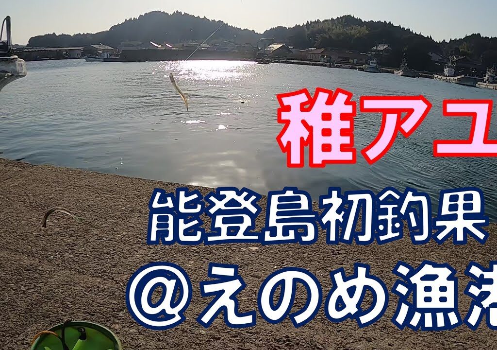 能登島初釣果！えのめ漁港で稚鮎釣り