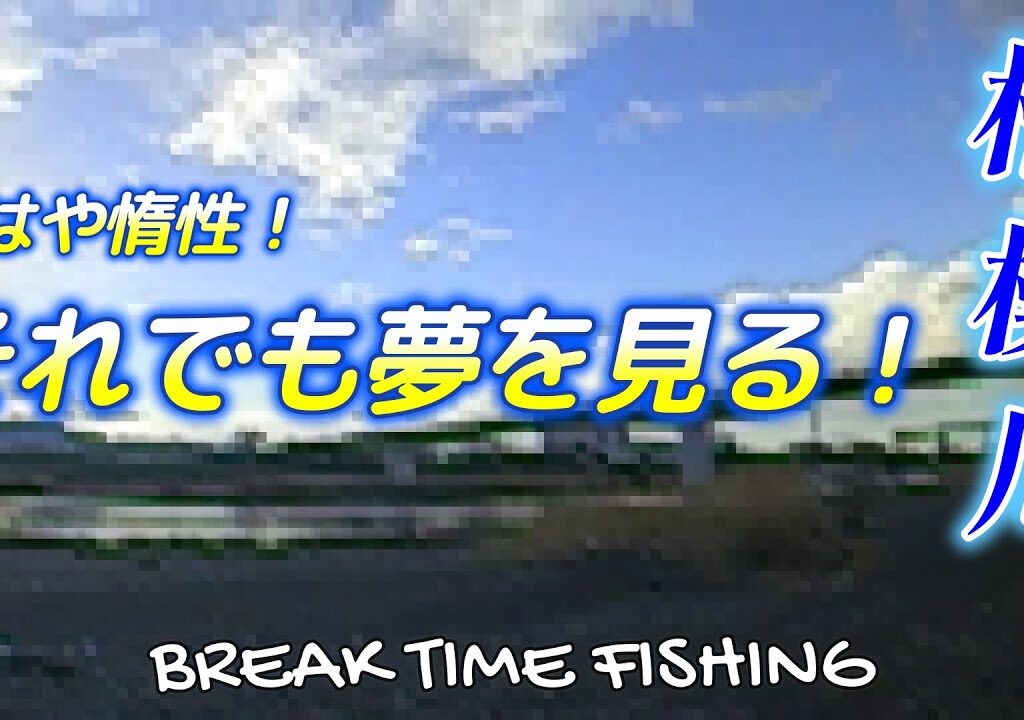 【相模川】もはや惰性！それでも夢を見る！
