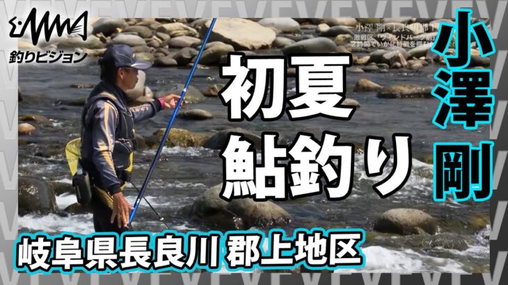 小澤 剛×岐阜県長良川 郡上地区 鮎釣り 鮎の友釣り長良川攻略『鮎2019 令和最初の鮎シーズン』イントロver【釣りビジョン】その②