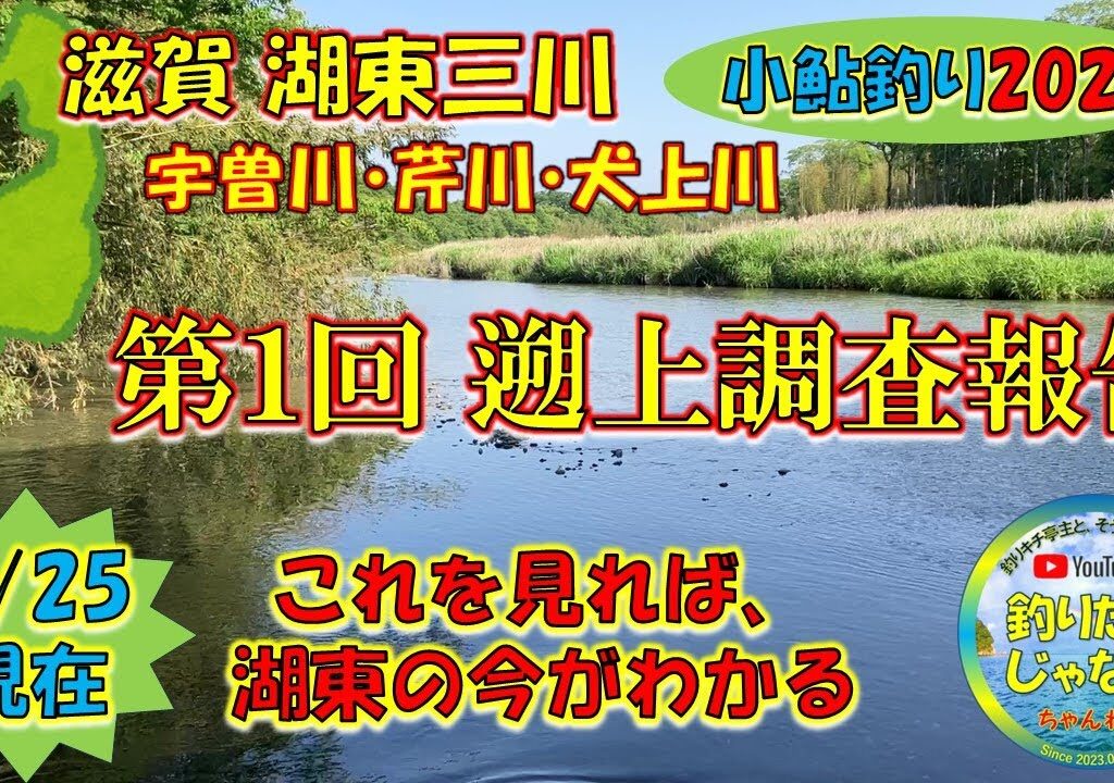 【小鮎釣り2024】滋賀、湖東三川（芹川・犬上川・宇曽川）の小鮎釣りおよび遡上調査。これを見れば、湖東地区の今がわかる。滋賀に釣行に行く前に見る動画。滋賀、琵琶湖、びわ湖、流入河川、現状調査。