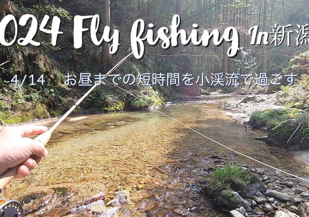 【2024 渓流フライフィッシングin新潟】 4/14 お昼までの短時間を小渓流で過ごす