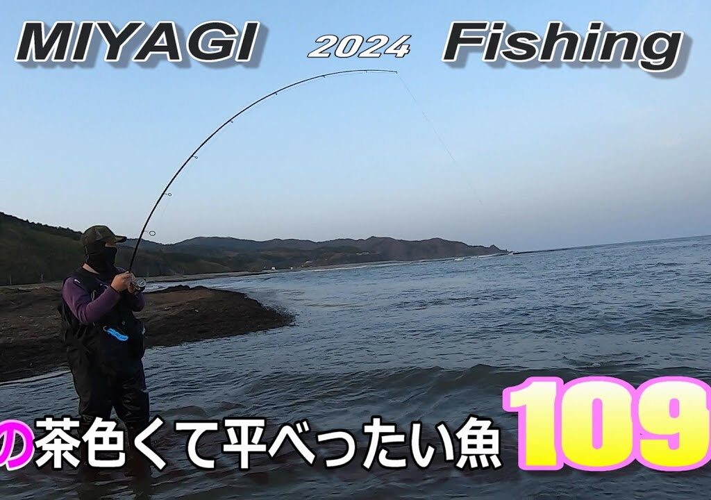 2024　春到来・宮城釣り　茶色くて平べったい　あの魚が1091しました‼