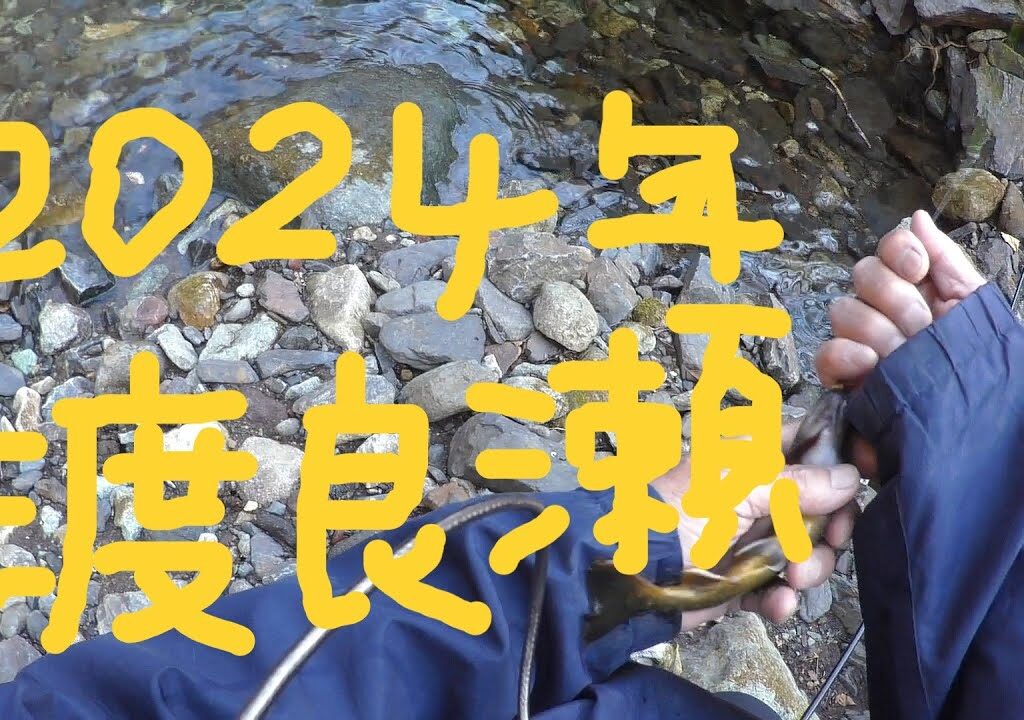 2024年　2本目　4月12日　渡良瀬川支流　餌釣り　渓流釣り　爆釣