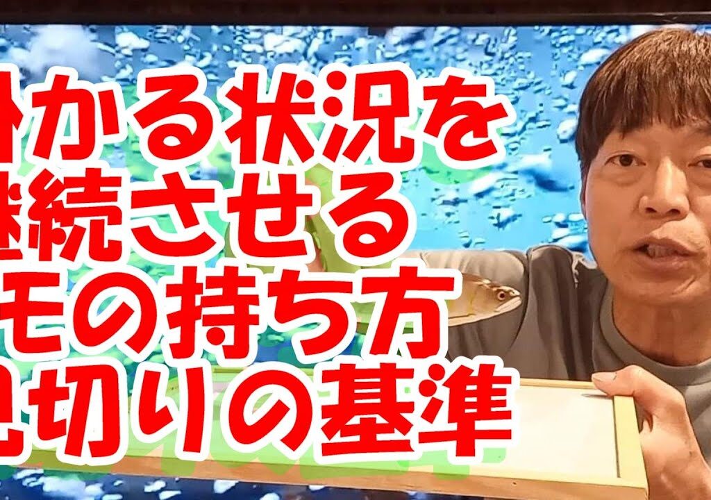 鮎釣り A-62 2024年4月7日 質問はこちらから https://youtu.be/8ZJzYVR2kQk