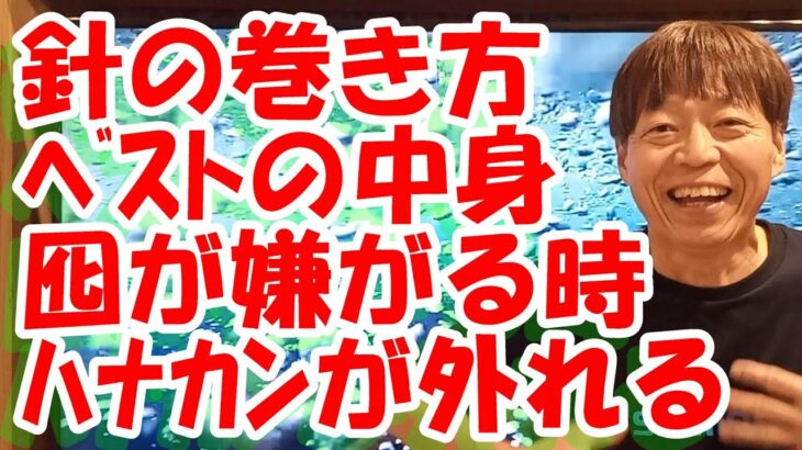 鮎釣り A-63 2024年4月9日 質問はこちらから https://youtu.be/8ZJzYVR2kQk