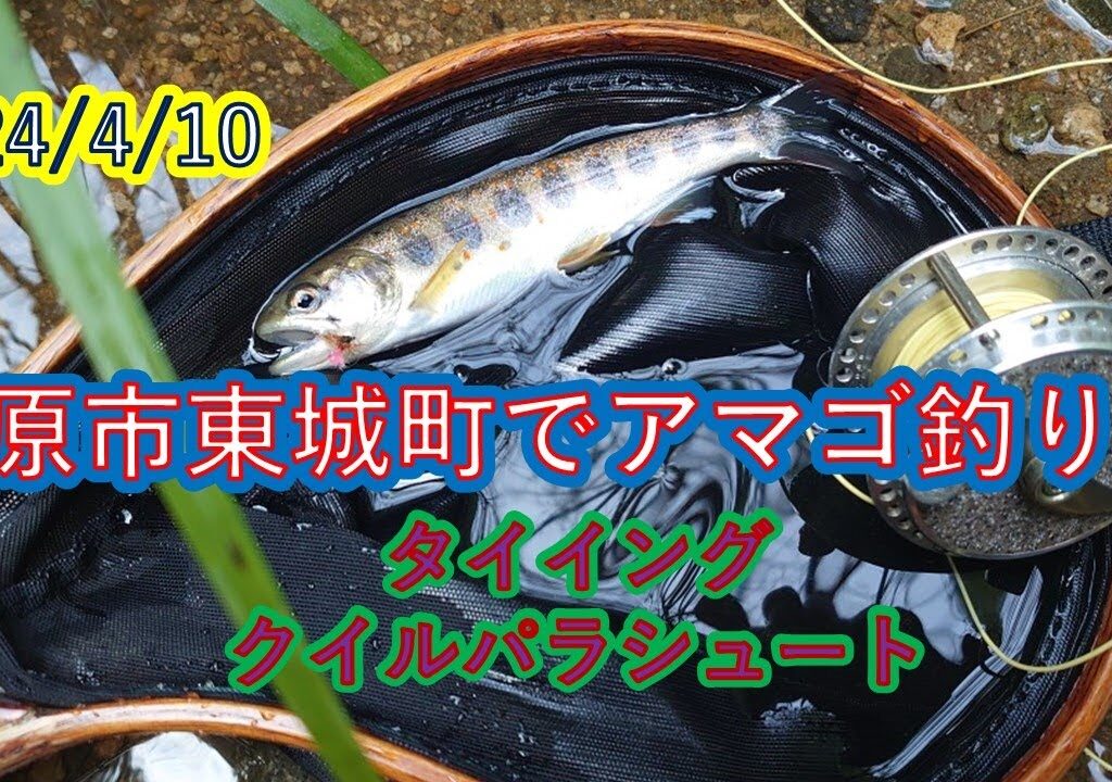 Kuu師匠に教わる渓流釣り。タイイングをして東城川に行ってみました。増水していてフライはきびしかったのです。