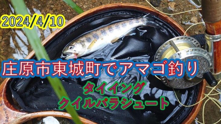 Kuu師匠に教わる渓流釣り。タイイングをして東城川に行ってみました。増水していてフライはきびしかったのです。