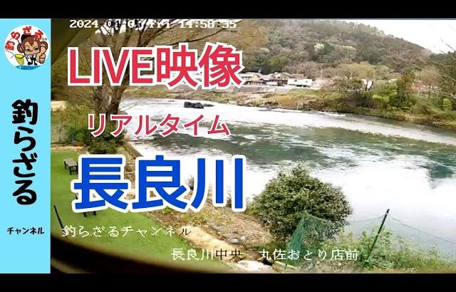 LIVE【ライブ配信】リアルタイム長良川　丸佐おとり店