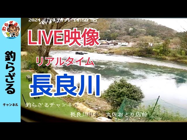 LIVE【ライブ配信】リアルタイム長良川　丸佐おとり店