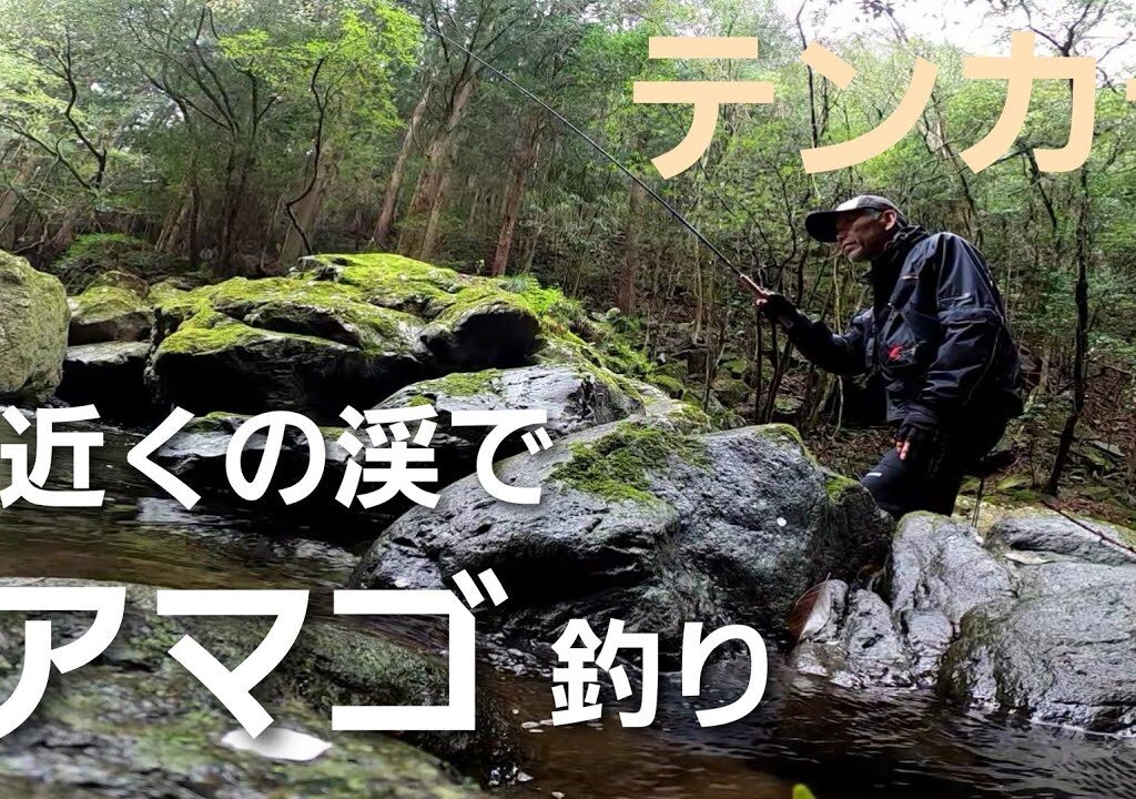 テンカラNO5　アマゴ釣りは難しい！　ちび鮎2匹の残念な結果でした…