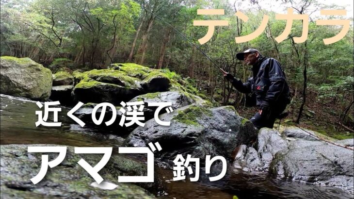 テンカラNO5　アマゴ釣りは難しい！　ちび鮎2匹の残念な結果でした…