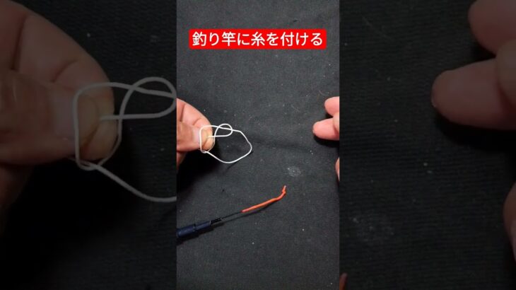 釣り竿に糸を付ける結び方【引きほどき】 竿先にラインを結ぶ#anglerghost #fishing #ロッド #ノットは締めが鍵を握ります#Shorts動画＃釣り＃竿