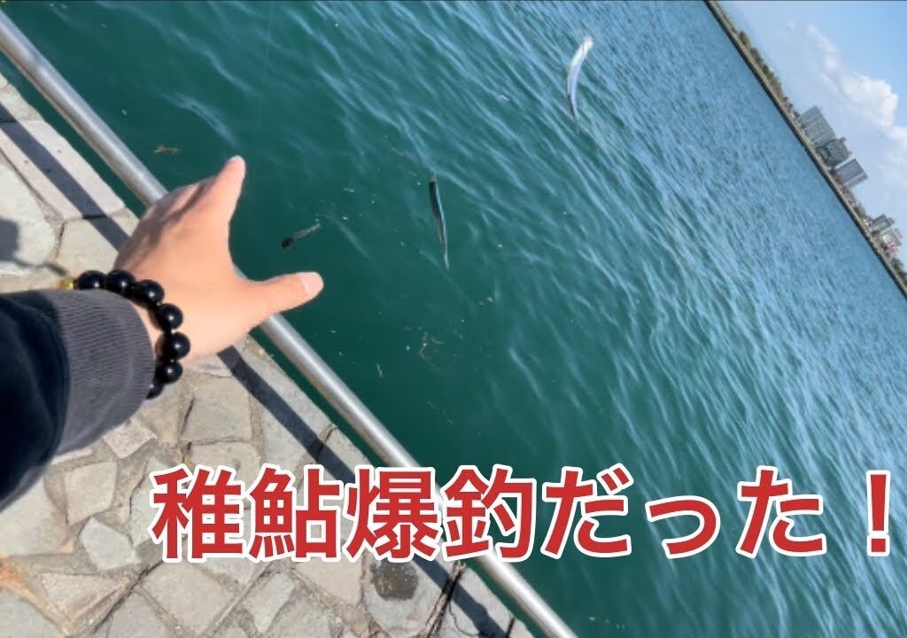 浜名湖で稚鮎釣りに行ったら大爆釣だった！【新井弁天海釣り公園】