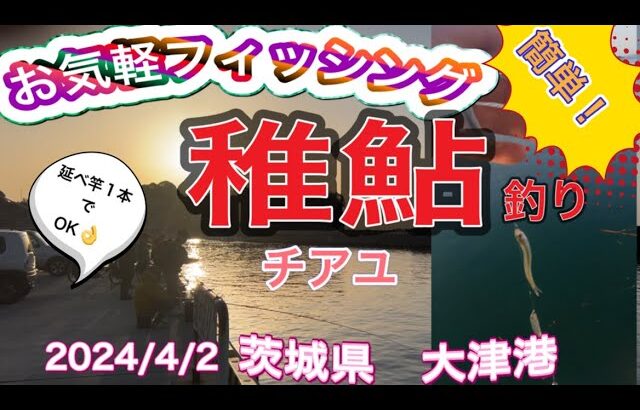 お気軽フィッシング　稚鮎釣り！お子様、初心者でも釣れる　この時期限定の釣り