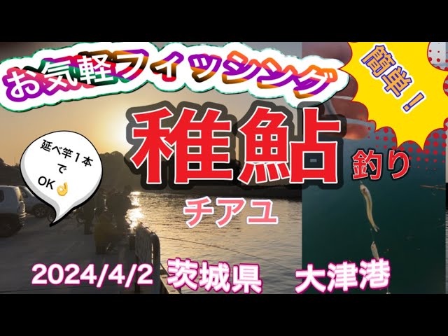お気軽フィッシング　稚鮎釣り！お子様、初心者でも釣れる　この時期限定の釣り