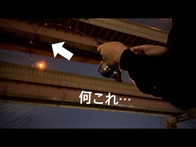 深夜の川で釣りをしてたら想定外の大物と遭遇した…【東京/綾瀬川】 #釣り#東京#魚釣り #魚#川釣り