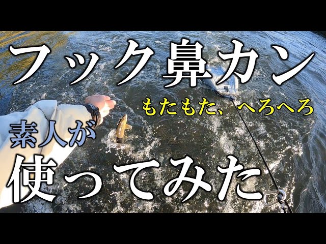 鮎仕掛け　素人がフック式ハナカンを使ってみた結果