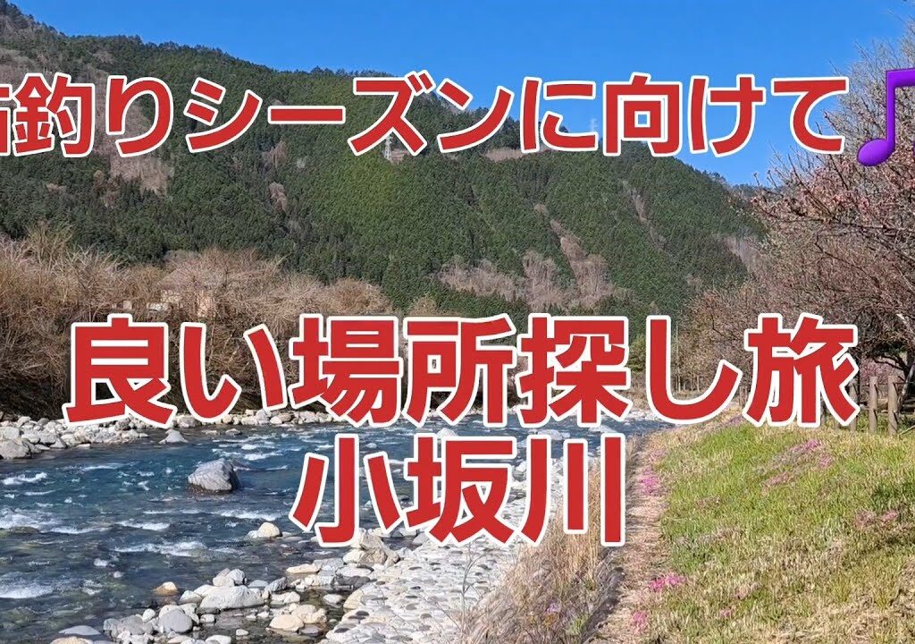 鮎釣りシーズンに向けて🎵良い場所探し旅　小坂川