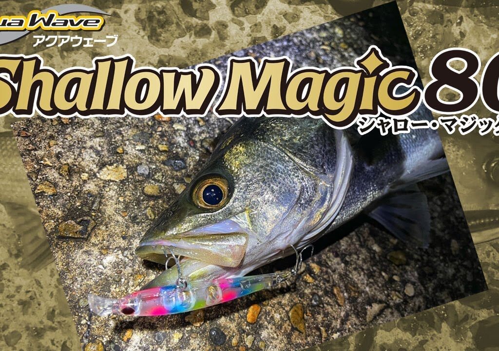 シャローマジック８０【シーバス編】