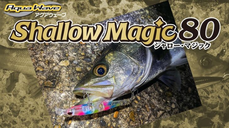 シャローマジック８０【シーバス編】