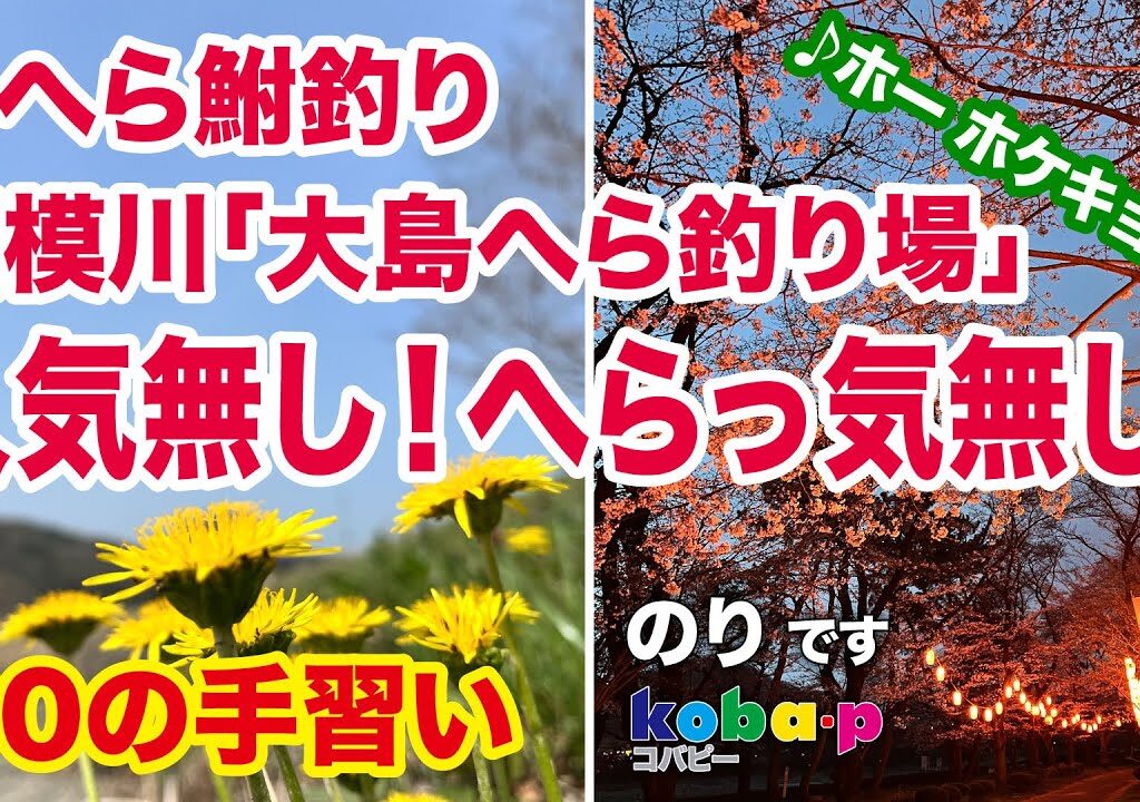 v4 へら鮒釣り　相模川「大島へら釣り場」人気無し！へらっ気無し！だけど最後に！