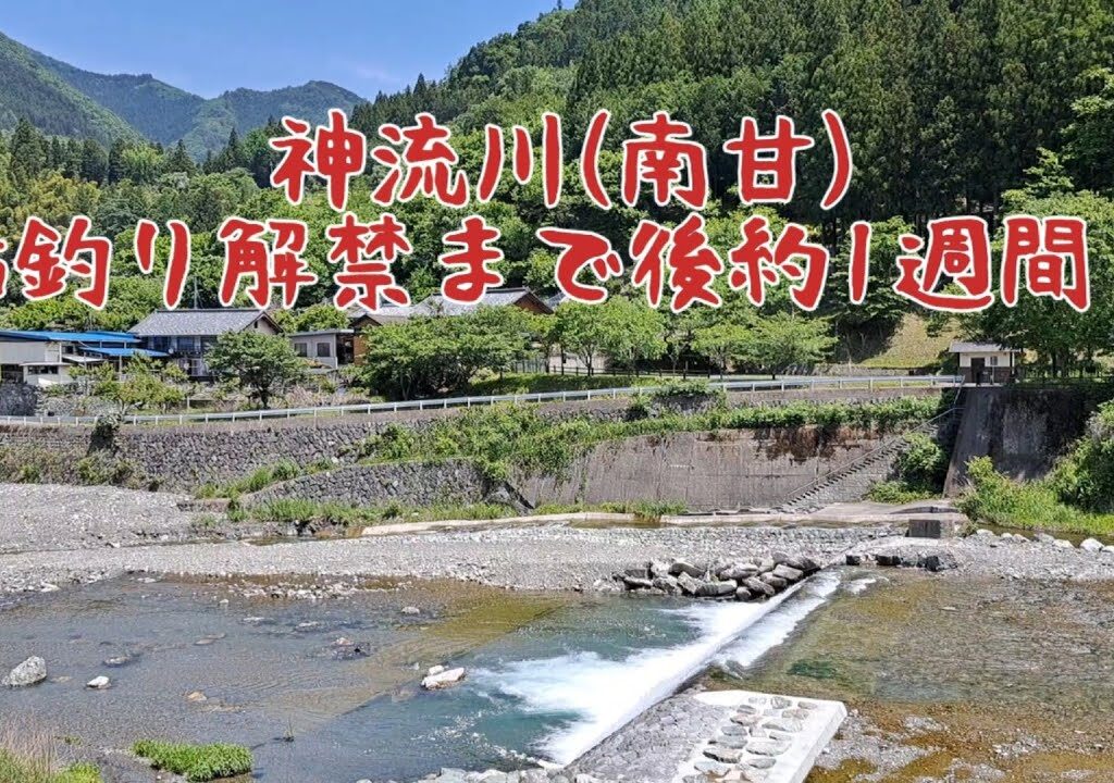 鮎釣り解禁　まで後約1週間　神流川(南甘)