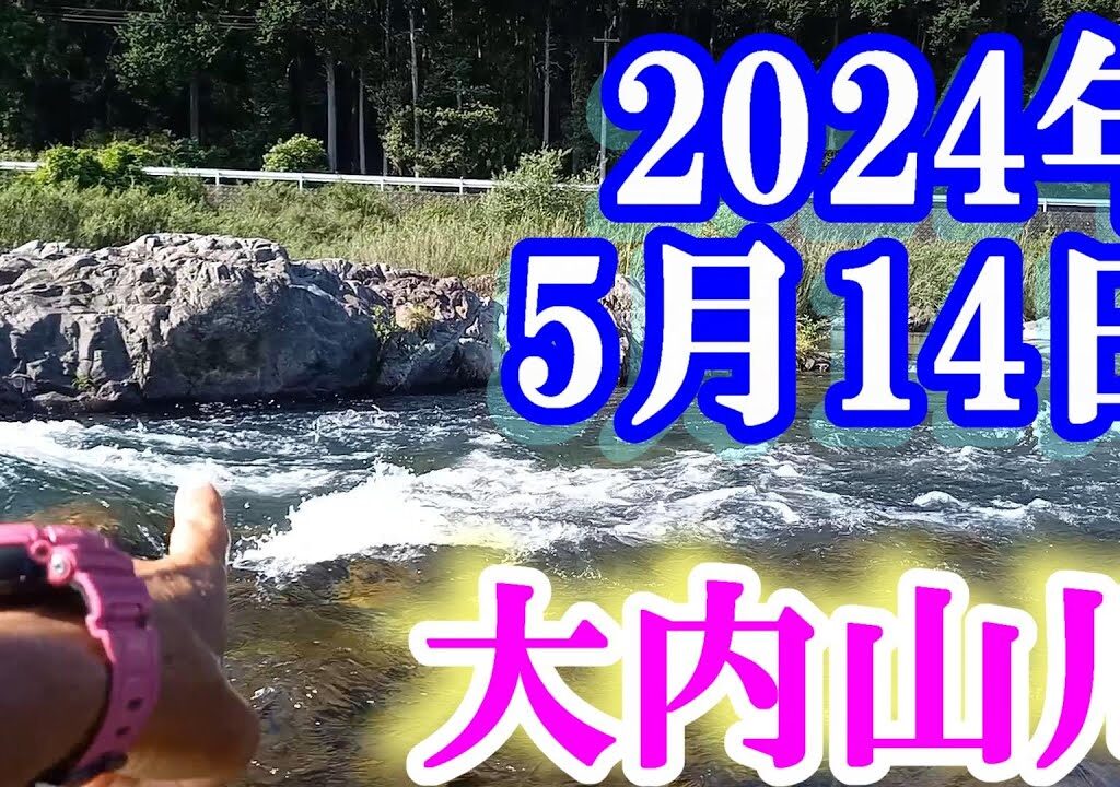 鮎釣り 前日雨+10cmの平水垢ぐされ 田垣内 岩船橋 大内山川 2024年