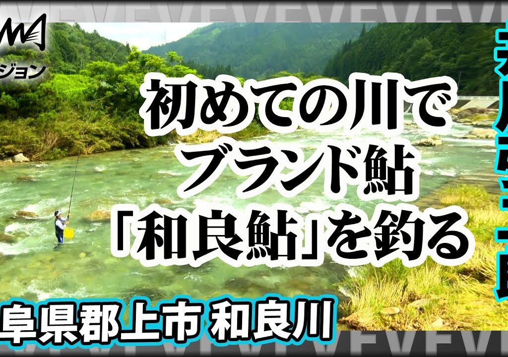 鮎釣り 旨いブランド鮎“和良鮎”を追う 1/2 『鮎2020 井川弘二郎が釣る 和良川』イントロver【釣りビジョン】その➀