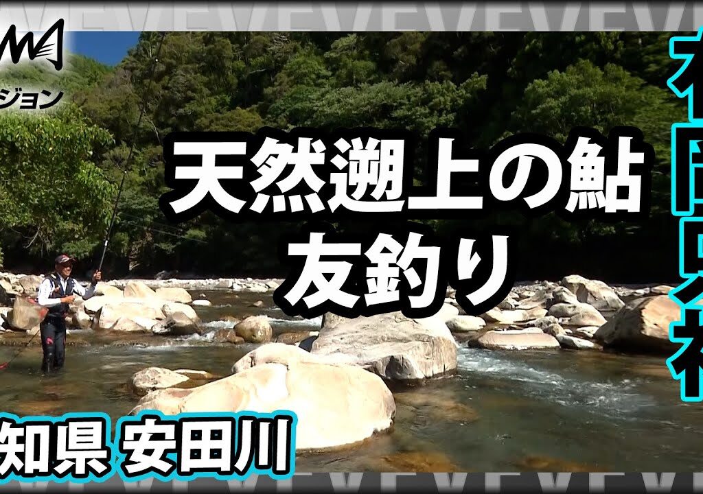 【鮎解禁】有岡只祐が安田川で鮎の友釣りを楽しむ 1/2『鮎2018 有岡只祐 The地元 安田川』イントロver【釣りビジョン】その➀