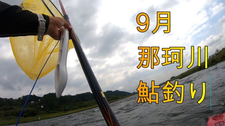 終盤の鮎釣り 孤独の那珂川釣行　2023年9月