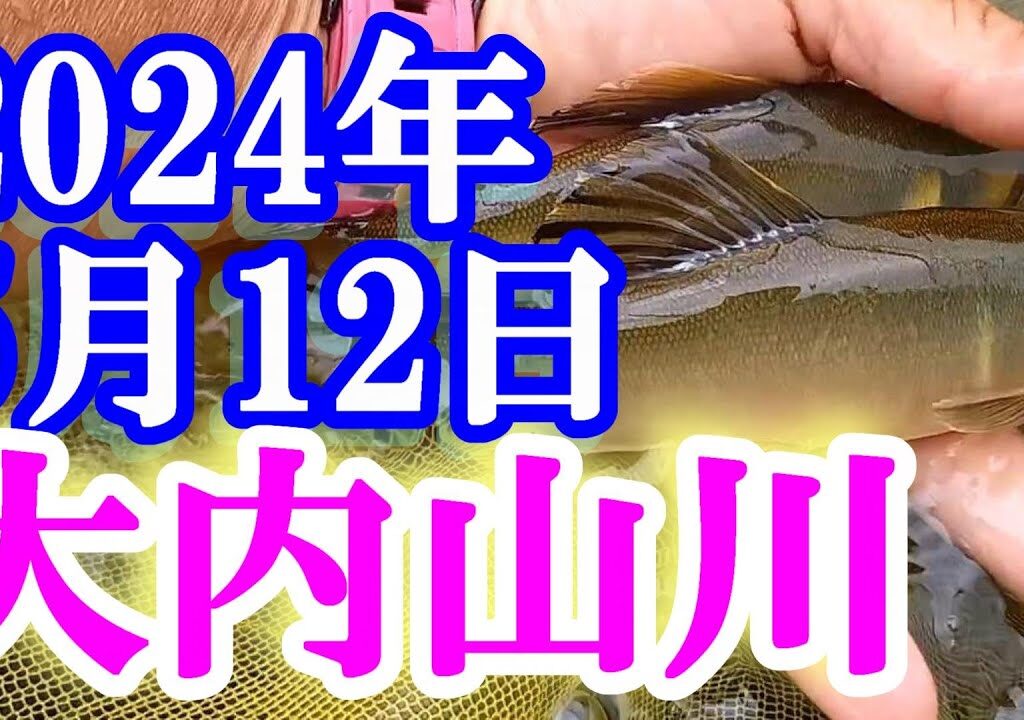 鮎釣り 渇水垢ぐされ 不動野橋上 伊良野橋下 不動野橋上下 大内山川 2024年