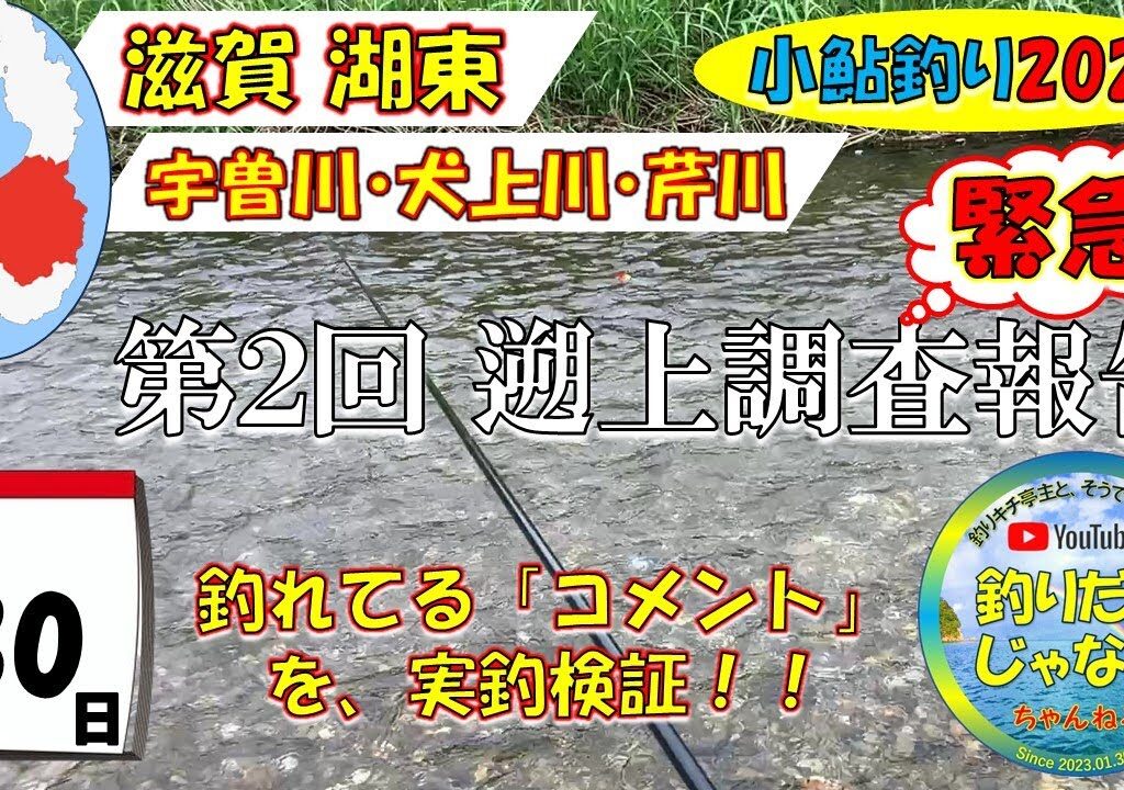 【小鮎釣り2024・緊急調査】滋賀、湖東三川（芹川・犬上川・宇曽川）の小鮎釣りおよび遡上調査。「釣れてる」コメントを実釣検証。これを見れば、湖東地区の今がわかる。滋賀に釣行に行く前に見る動画。