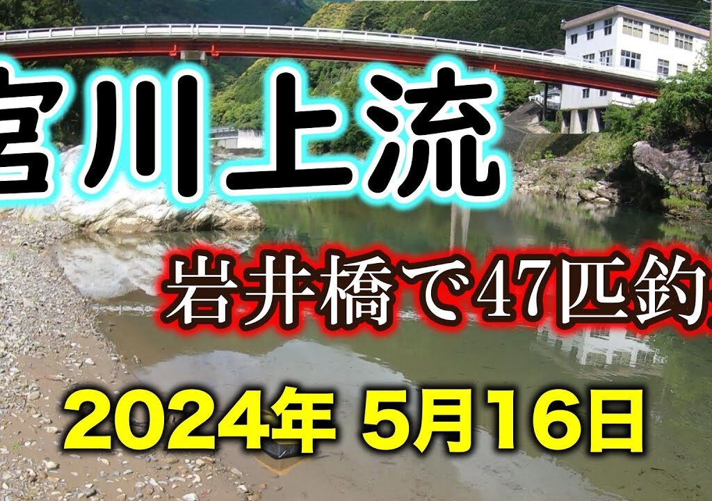 宮川上流のアユ釣りで釣果を出したい初心者へのアドバイス【宮川上流 2024年】