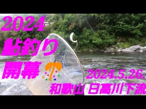 2024 アユ釣り開幕@和歌山 日高川下流地区(2024.5.26)
