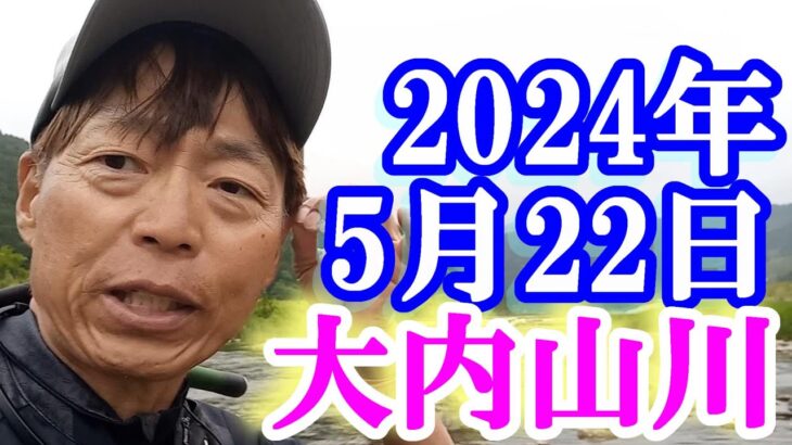 鮎釣り 平水垢ぐされ おとべ 阿曽大橋上 伊良野橋上 田垣外下 小広瀬橋下 柏野大橋 大内山川 2024年