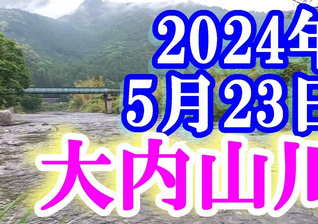 鮎釣り 平水垢ぐされ 坂津橋下 岩船橋上 柏野大橋上下 大内山川 2024年