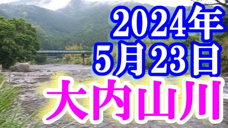 鮎釣り 平水垢ぐされ 坂津橋下 岩船橋上 柏野大橋上下 大内山川 2024年