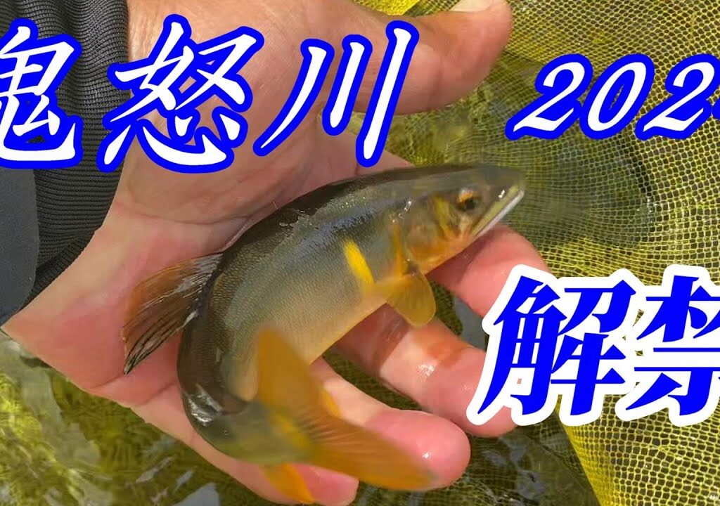 【2024鮎釣り】鬼怒川解禁日