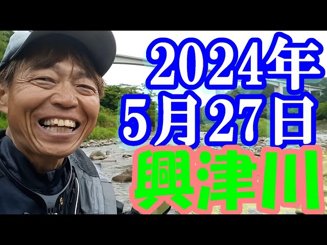 鮎釣り 平水残り垢＆新垢 土村堰堤下 寺尾島橋 土村堰堤下 興津川 2024年