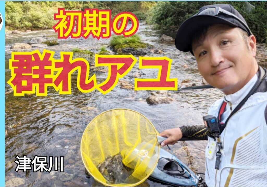 【鮎釣り2024】初期の群れアユ攻略！津保川