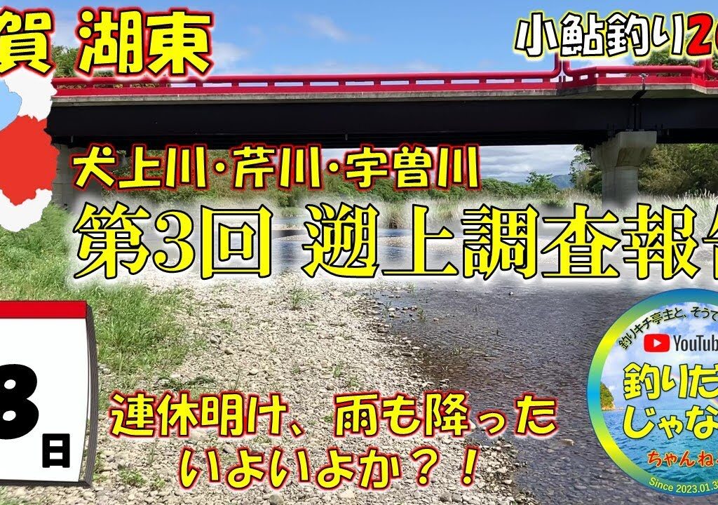 【小鮎釣り2024・第３回調査】滋賀、湖東三川（芹川・犬上川・宇曽川）の小鮎釣りおよび遡上調査。これを見れば、湖東地区の今がわかる。滋賀に釣行に行く前に見る動画。
