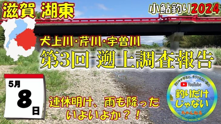 【小鮎釣り2024・第３回調査】滋賀、湖東三川（芹川・犬上川・宇曽川）の小鮎釣りおよび遡上調査。これを見れば、湖東地区の今がわかる。滋賀に釣行に行く前に見る動画。