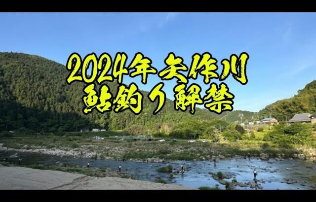 【鮎釣り】2024年矢作川鮎釣り解禁