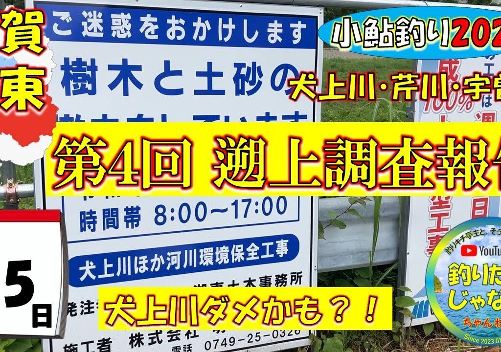 【第４回調査・小鮎釣り2024】滋賀、湖東三川（芹川・犬上川・宇曽川）の小鮎釣りおよび遡上調査。これを見れば、湖東地区の今がわかる。滋賀に釣行に行く前に見る動画