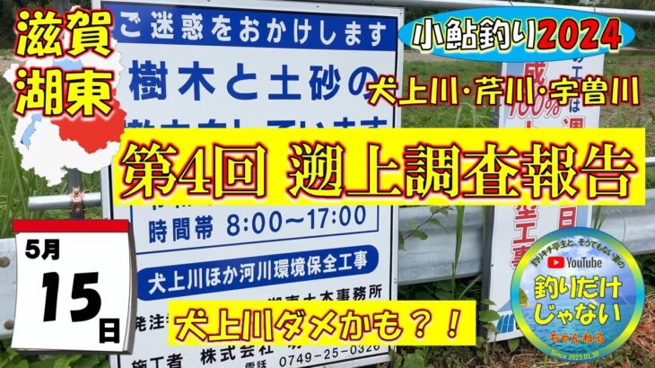 【第４回調査・小鮎釣り2024】滋賀、湖東三川（芹川・犬上川・宇曽川）の小鮎釣りおよび遡上調査。これを見れば、湖東地区の今がわかる。滋賀に釣行に行く前に見る動画