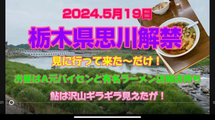 2024.5月19日.栃木県思川解禁日偵察して来た〜！#釣り #鮎釣り #鮎#サンライン #サンラインフィールドテスター #サンテック #栃木県思川#capcut #プロモーション