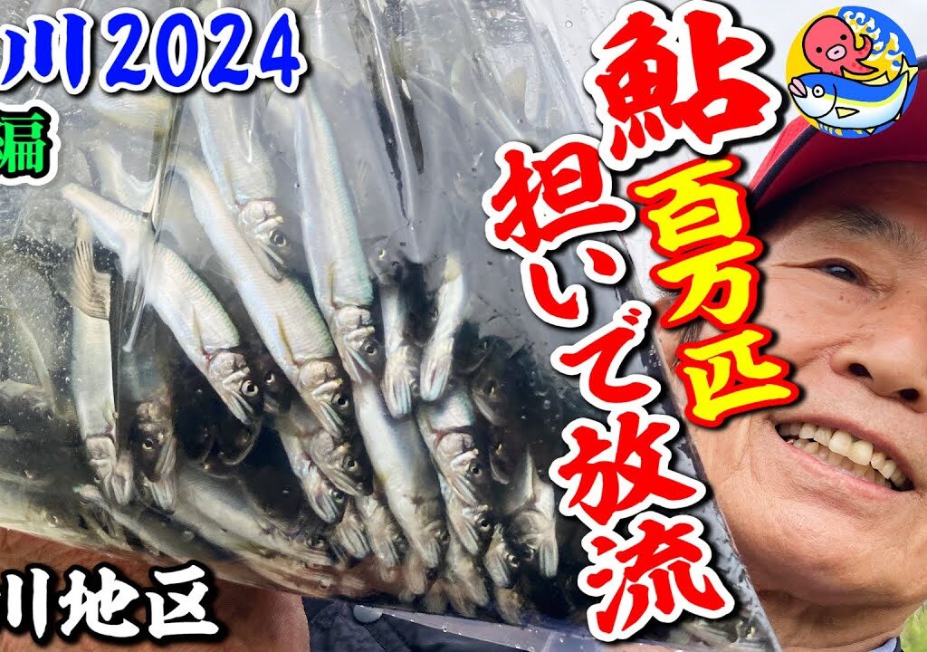 2024桂川鮎100万匹放流【前編】漁協スタッフが鮎担いじゃうぞ!!【山梨桂川・鶴川地区】