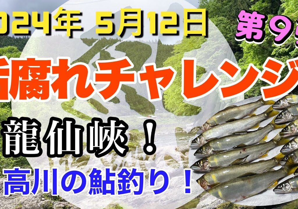 【日高川鮎釣り】2024年5月12日垢腐れチャレンジ！
