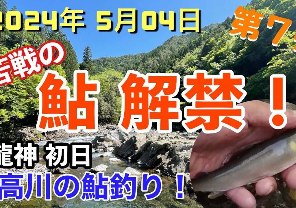 【日高川鮎解禁 】2024年5月4〜5日、二日間釣行 初日！